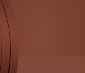劉德華臺(tái)北演唱會(huì)話筒掉了